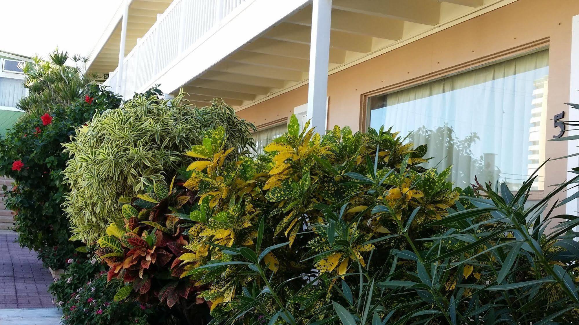 The Palms On Ocean Motel Pompano Beach Exterior foto